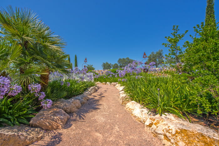 Garten Mallorca