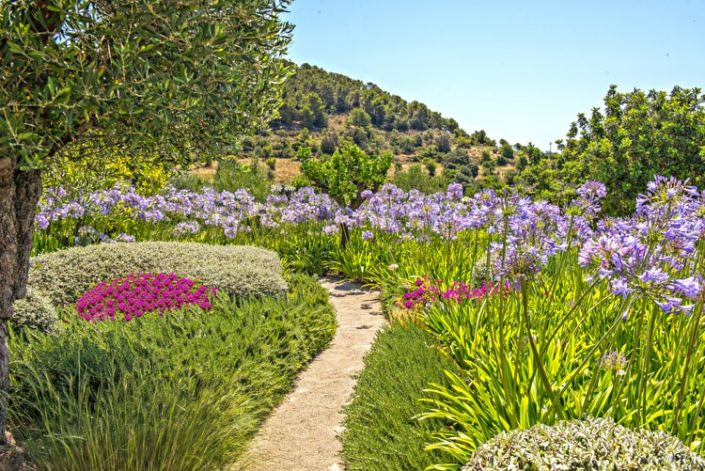 Garten Mallorca