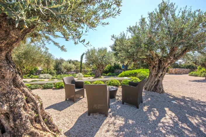 Garten Mallorca