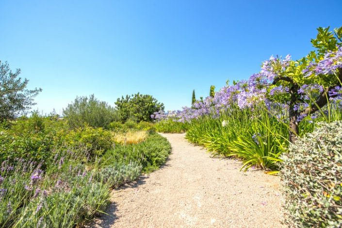 Garten Mallorca