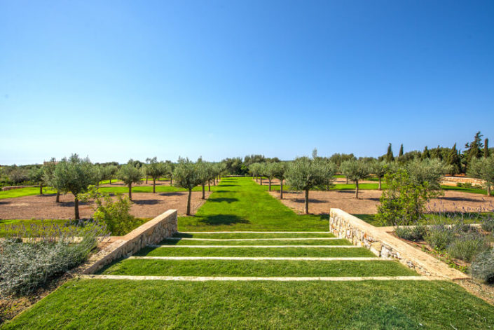 Garten Mallorca