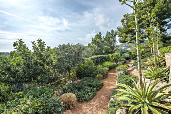 Garten Mallorca