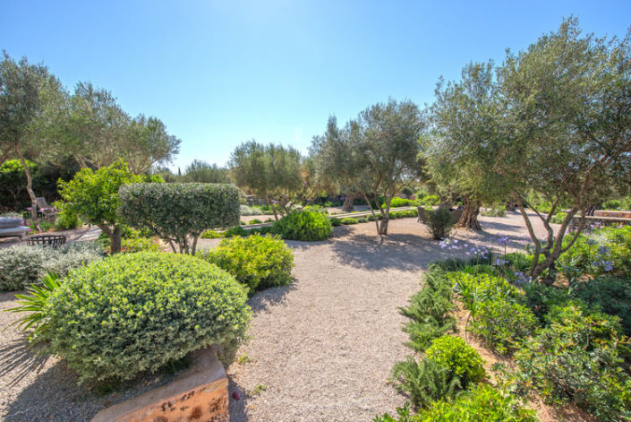 Garten Mallorca