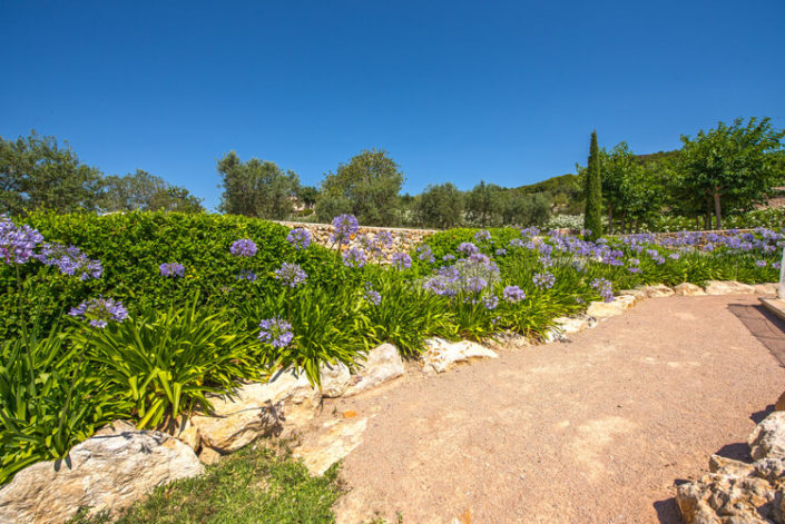 Garten Mallorca